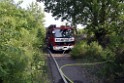 Waldbrand Koeln Hoehenhaus Hoehenfelder Mauspfad P055